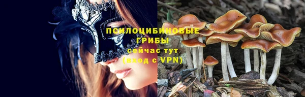 прущие грибы Покров
