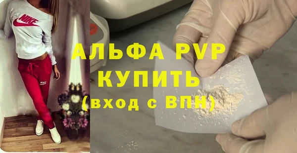 прущие грибы Покров