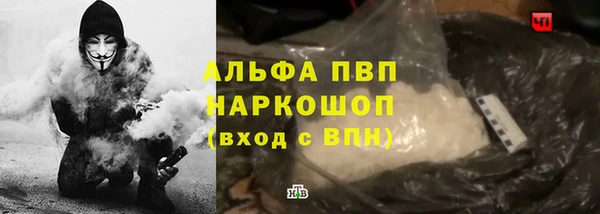 прущие грибы Покров