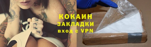 прущие грибы Покров