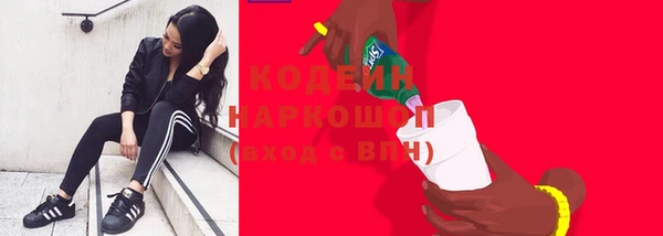 амф Покачи