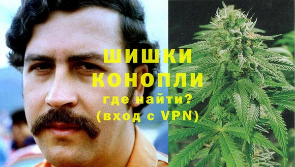 прущие грибы Покров